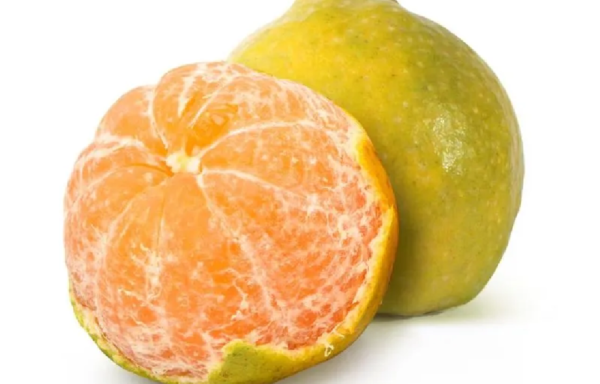 Orange (Nagpur Orange)